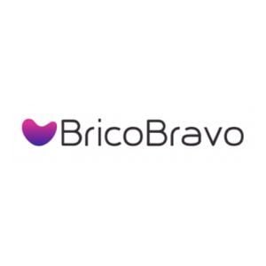 logo bricobravo 300 x 300